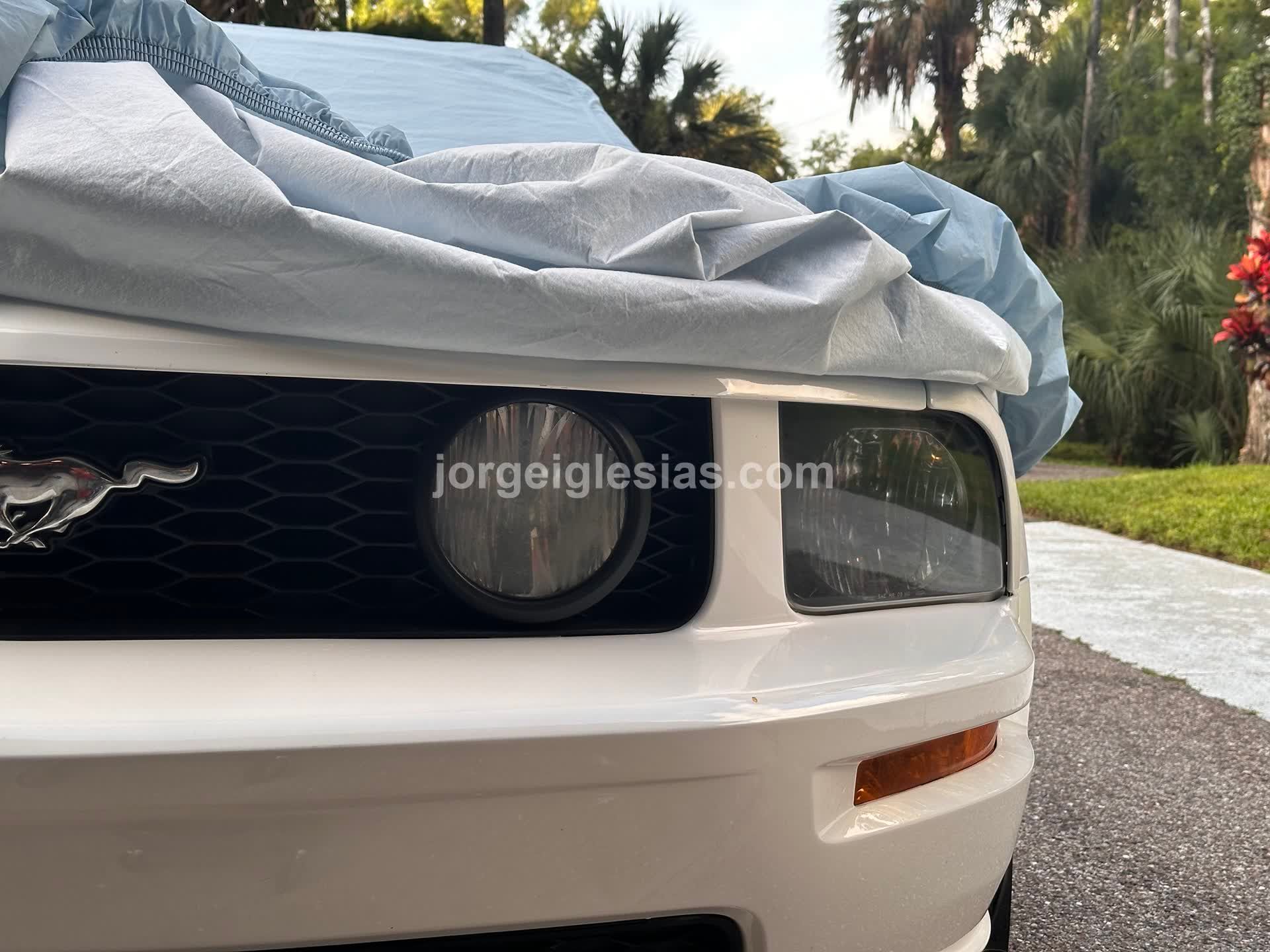 8/30/25 - Headlight Polishing - Image 6