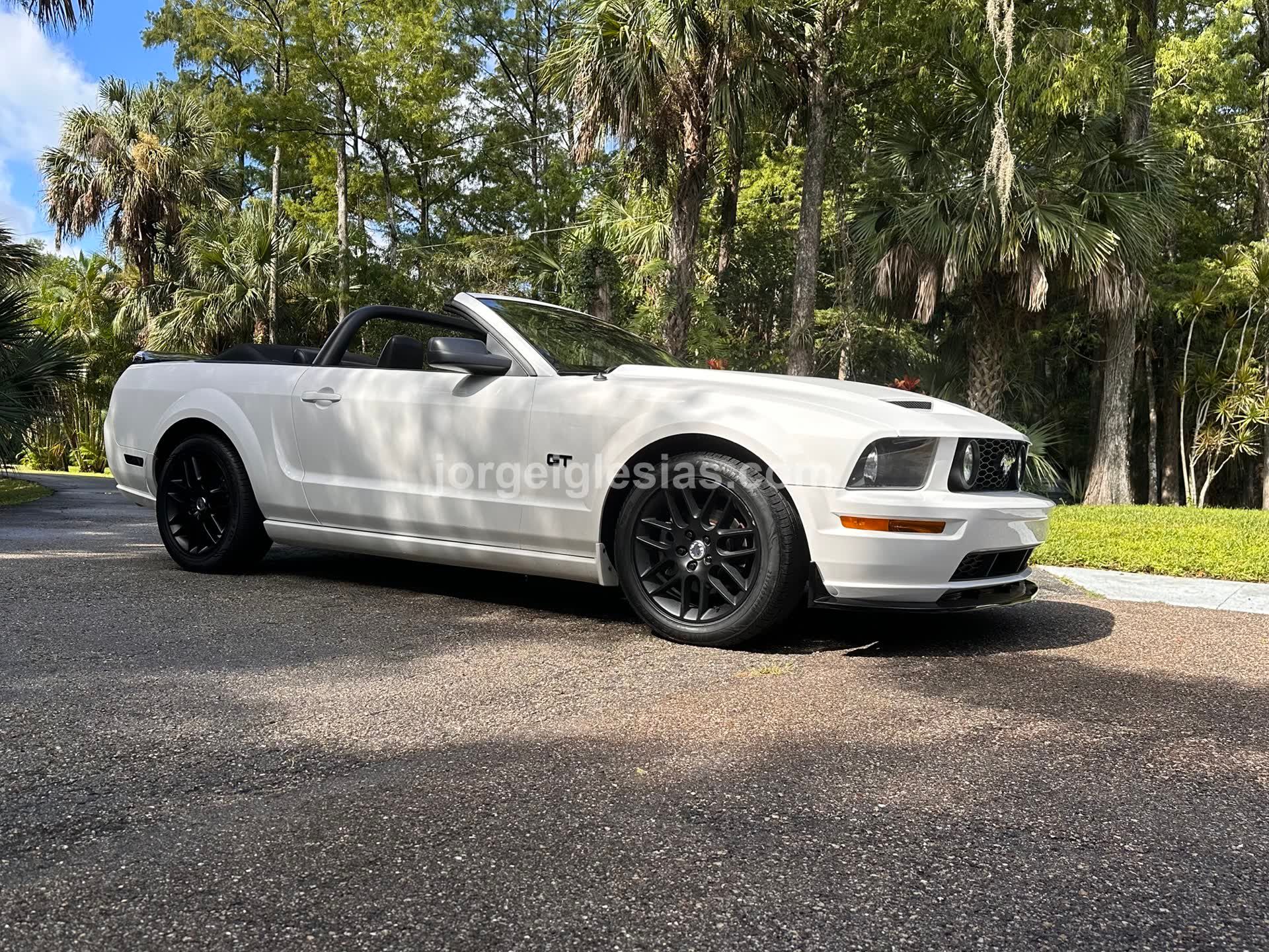 9/1/25 - Photoshoot at home - Image 4