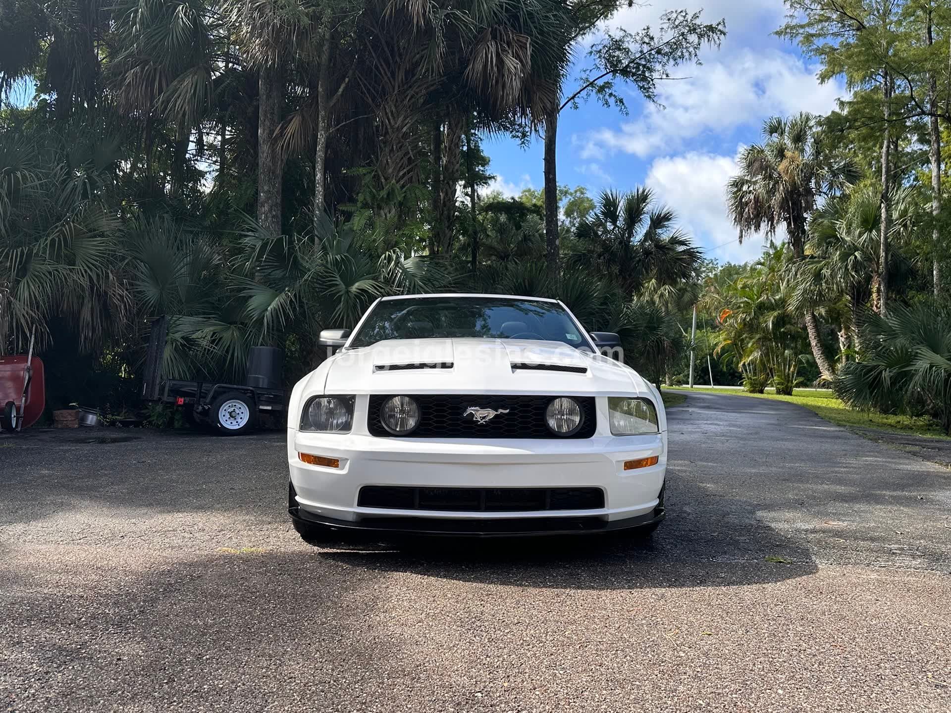 9/1/25 - Photoshoot at home - Image 2