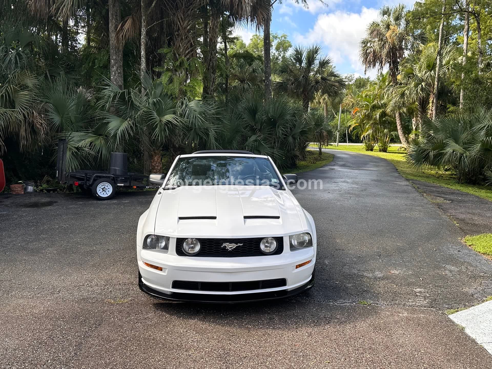 9/1/25 - Photoshoot at home - Image 7