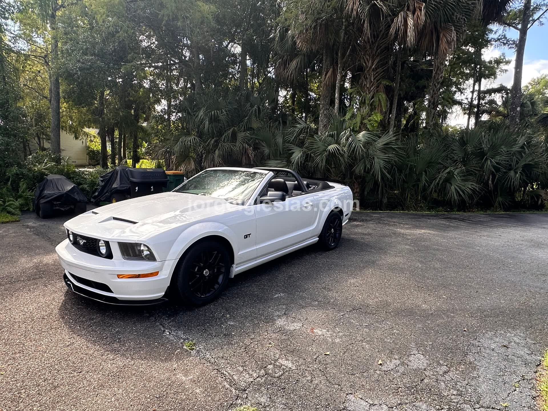 9/1/25 - Photoshoot at home - Image 6