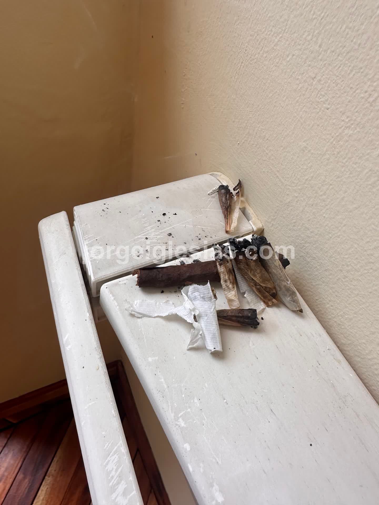 CP + Jamaica Trip - Image 5