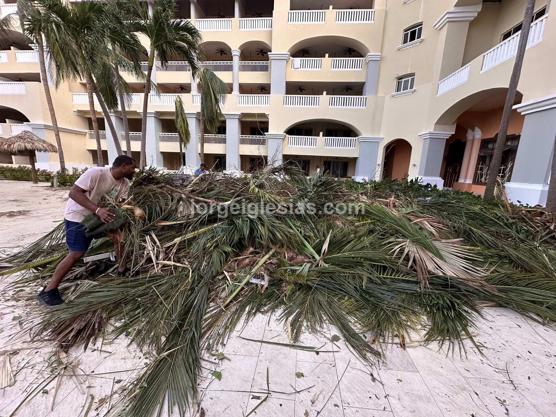 CP + Jamaica Trip - Image 47