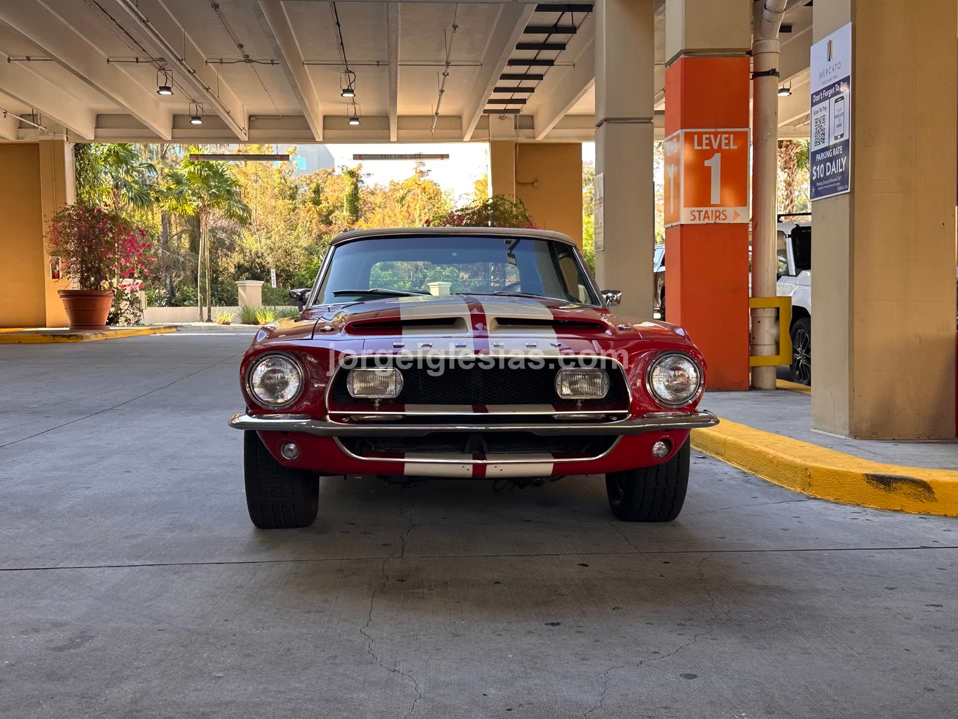 Naples Cars and Coffee - Sunday Dec 21, 2025 - Image 10
